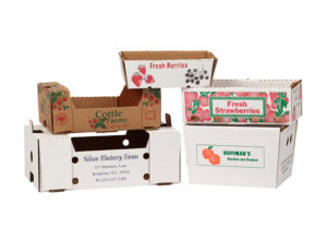 food protection box